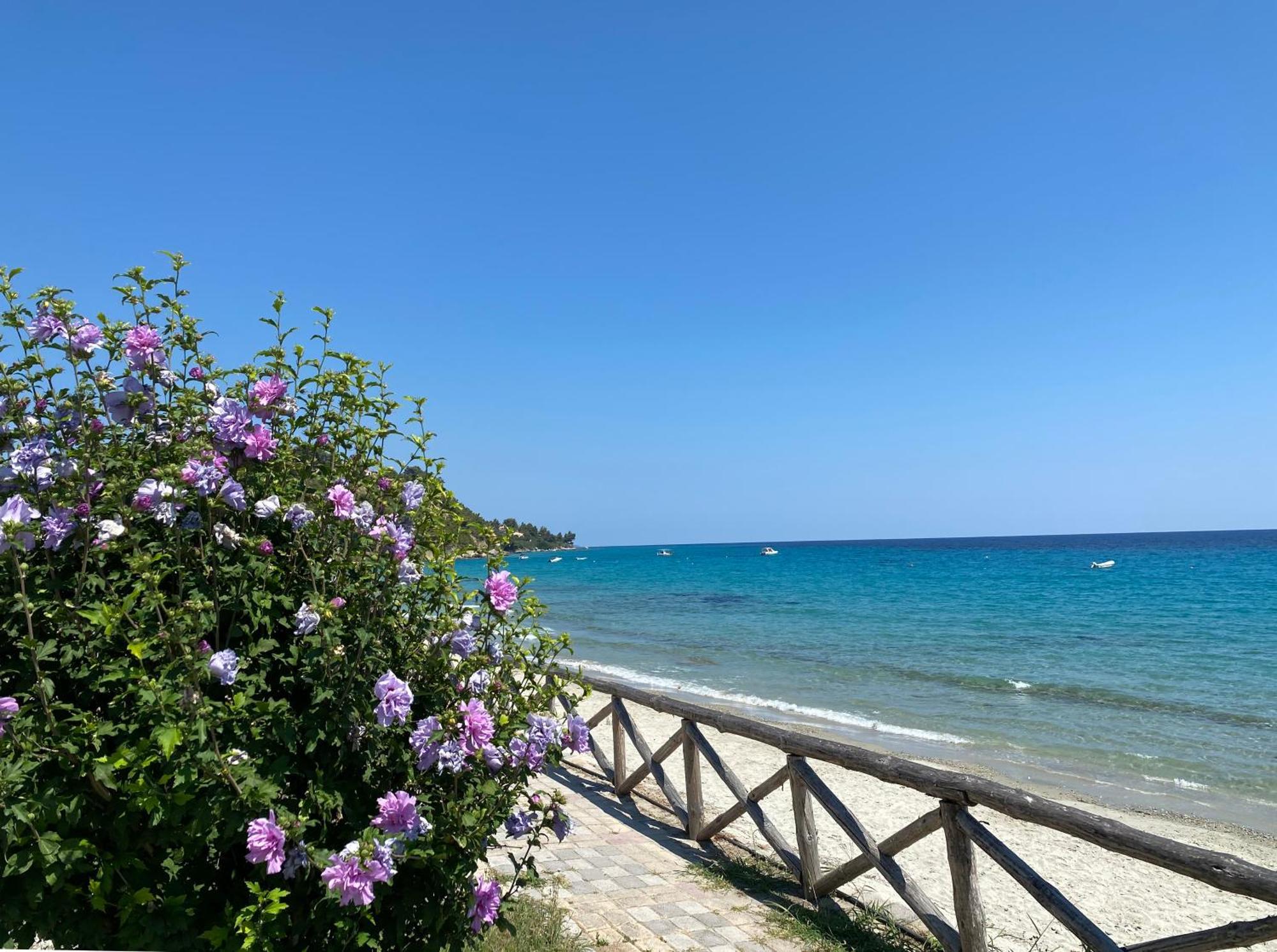 Posidi Studios Δωμάτιο φωτογραφία