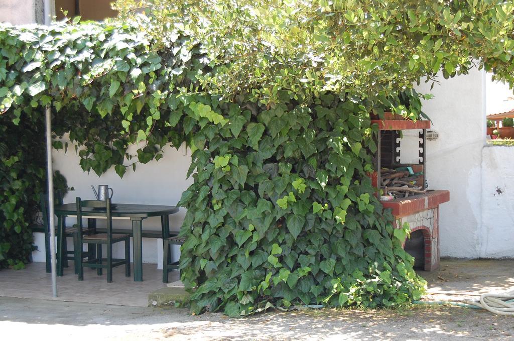 Posidi Studios Εξωτερικό φωτογραφία