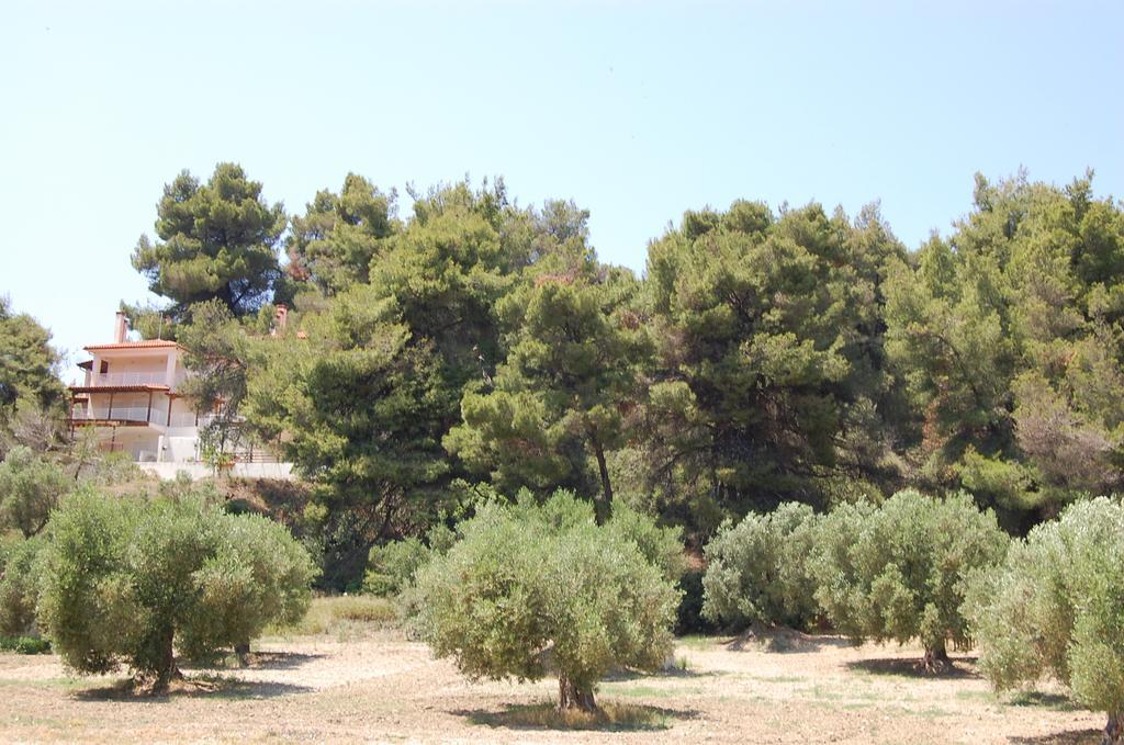 Posidi Studios Εξωτερικό φωτογραφία